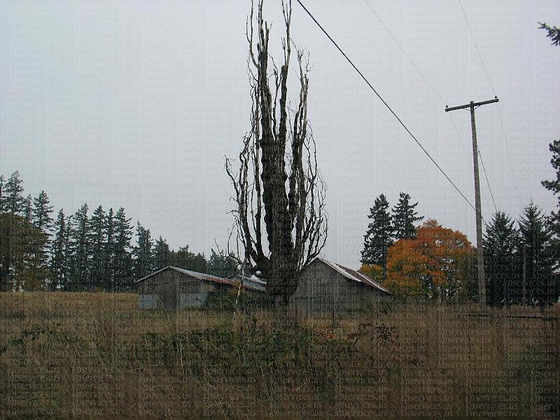 IMG_0561-endHomestead.JPG