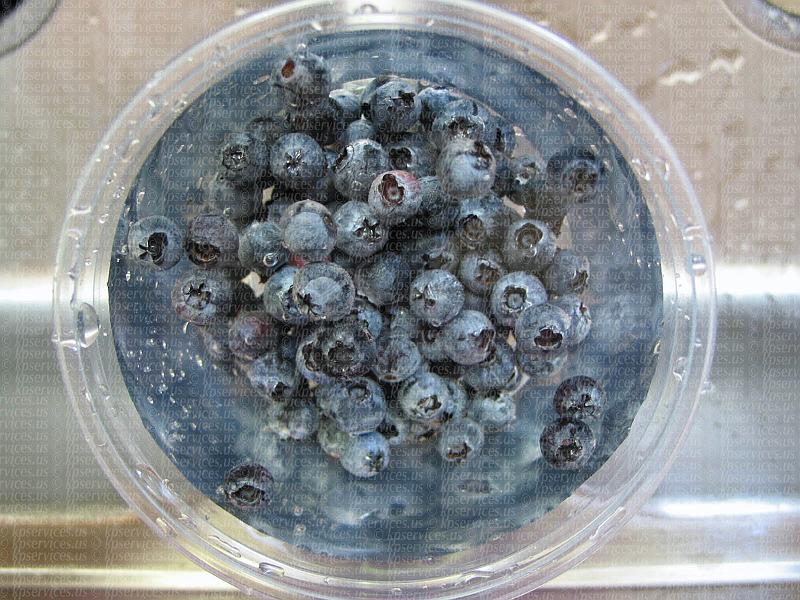 IMG_0008-blueberriesbowl.jpg