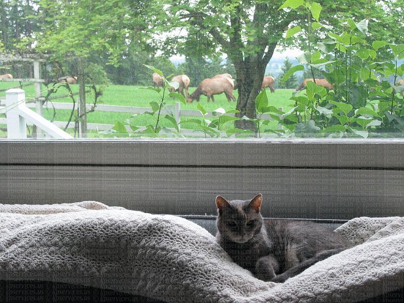 IMG_0927-digitelk.jpg