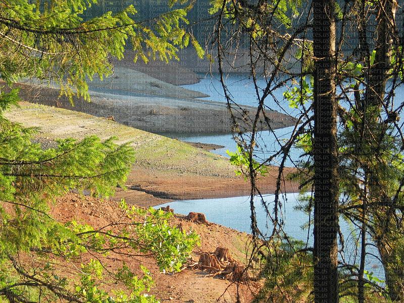IMG_6118-trinitylake.jpg