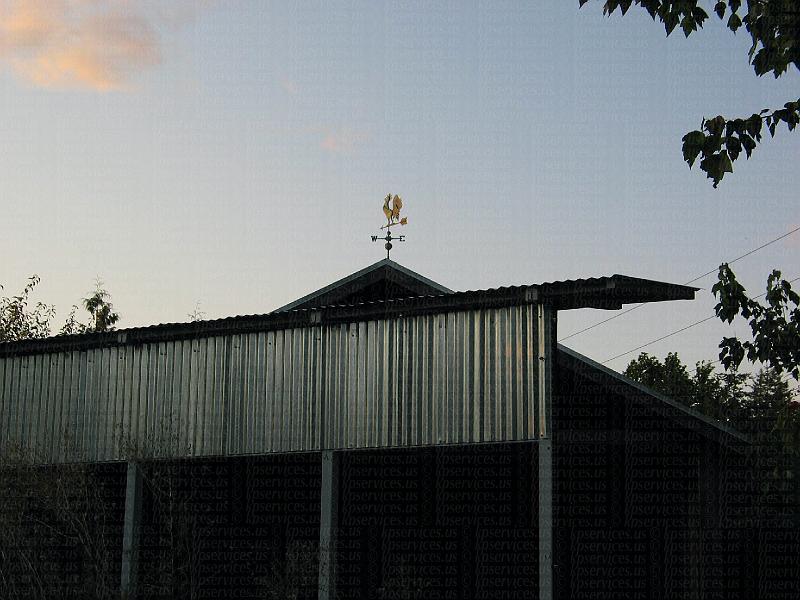 IMG_9713-sweetORgrill-shed.jpg