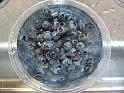 IMG_0008-blueberriesbowl