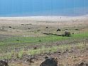 IMG_6170-desertOR