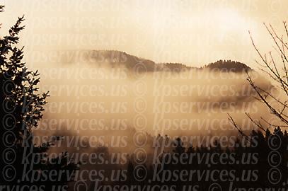 cp017-26-Gorgemist.jpg