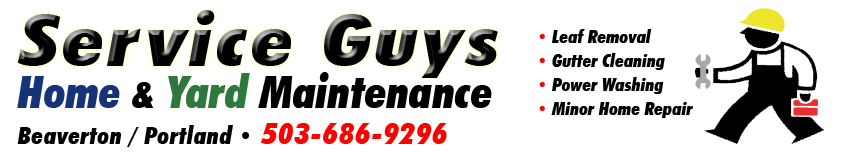 Service Guys Home and Landscape Maintenance home page
